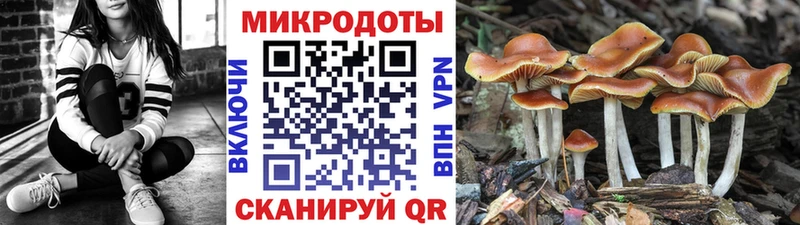 Купить где  Славянск-на-Кубани  Галлюциногенные грибы прущие грибы 